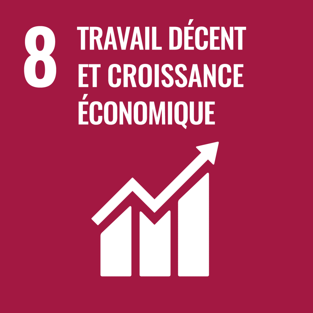 Icone : Travail décent et croissance économique
