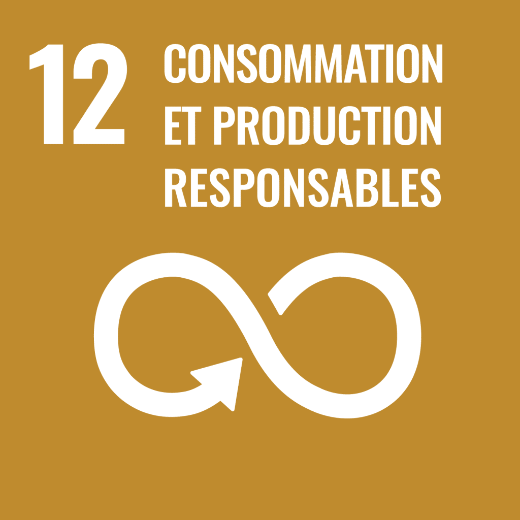 Icone : Consommation et production responsable