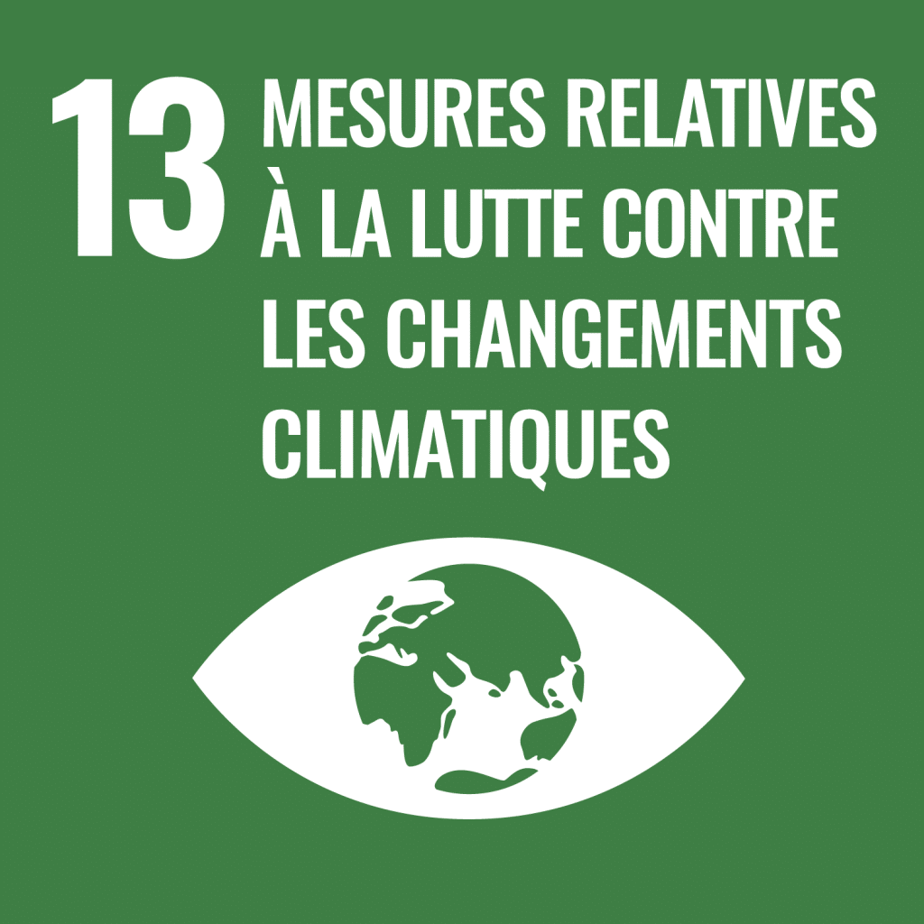Icone : Mesure relatives à la lutte contre les changements climatiques.