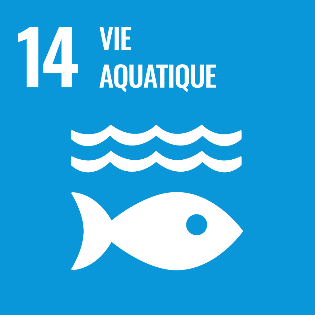 Icone : Vie aquatique