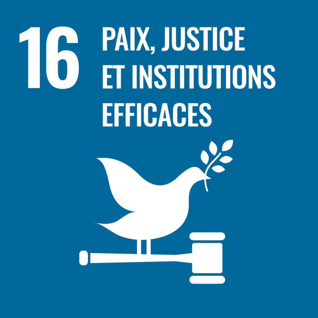Icone : Paix-justice et institutions efficaces